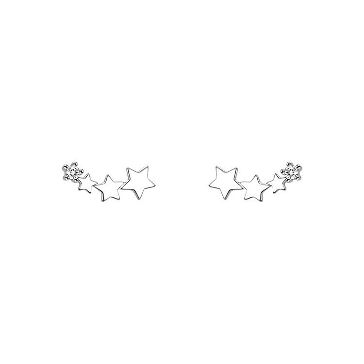 High-grade Light Luxury Design Sense Frosty Style Stud Earrings